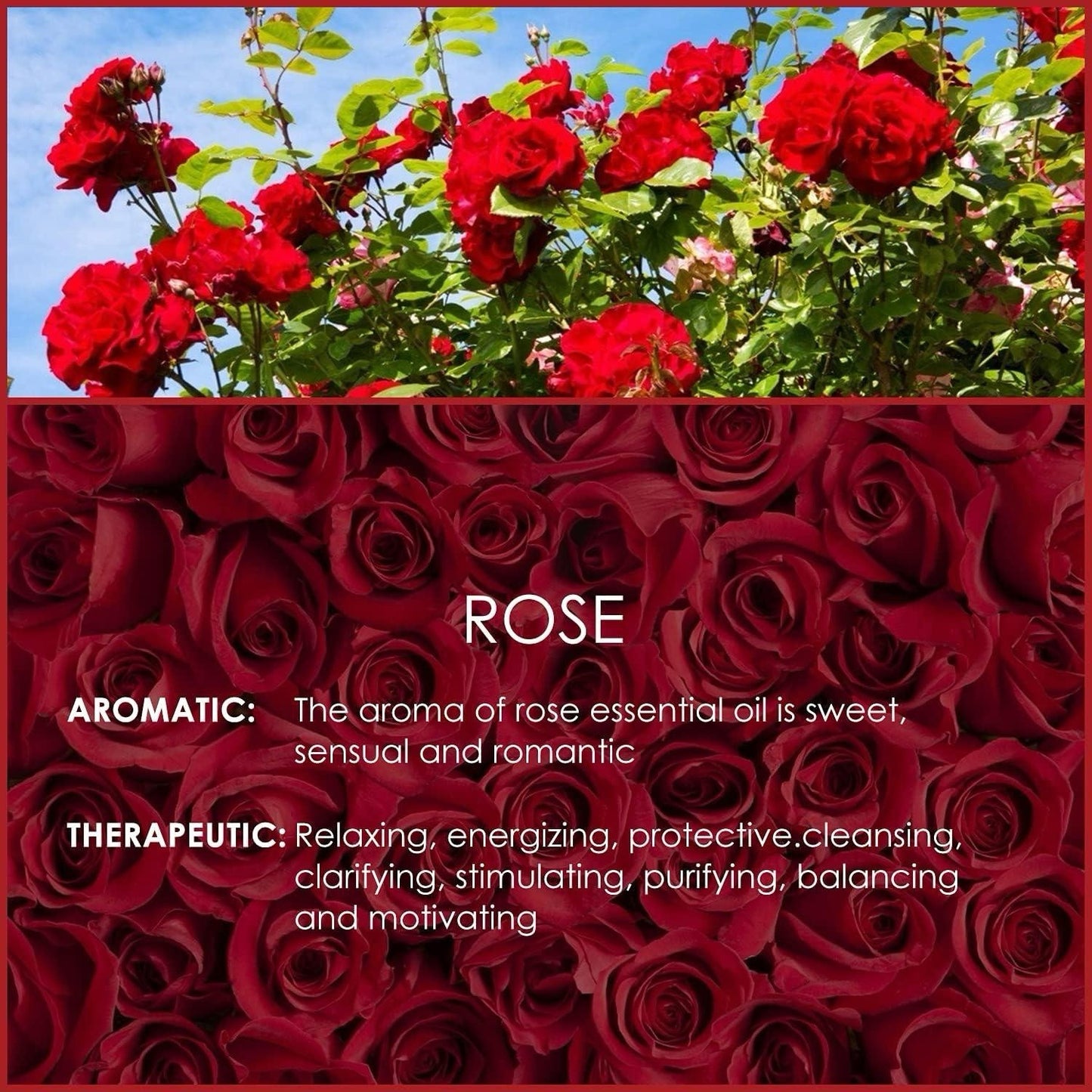 SALKING Rose Essential Oil 120mL 2 Pack Diffuser Candle Soap Fragrance