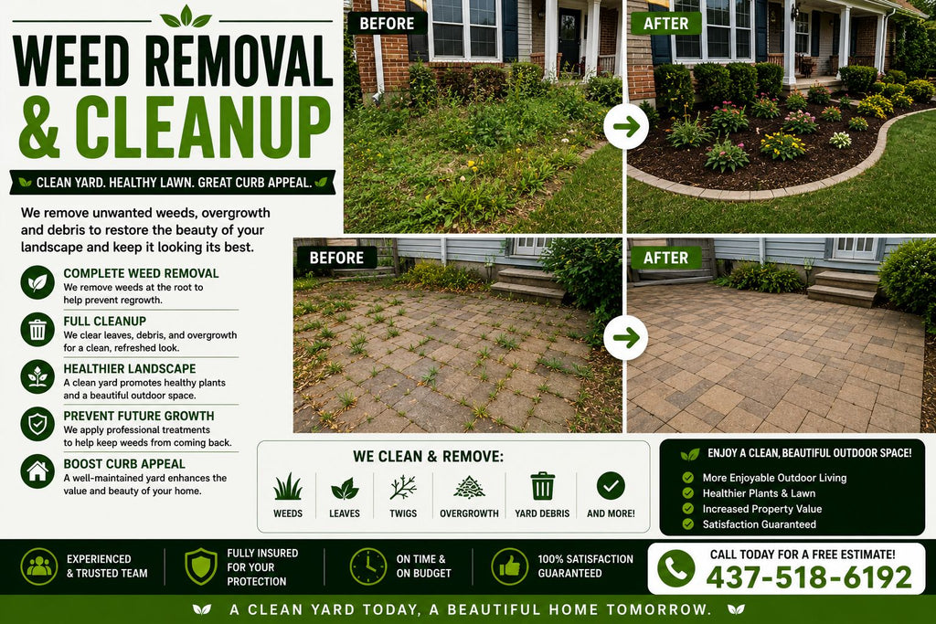 🌿 Complete Landscaping Services