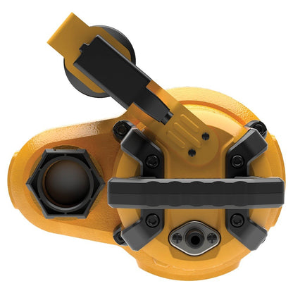 DEWALT® 1/2 HP Stainless Steel and Cast Iron, Efficient, Fully Submersible Sump - Lumi and Leo