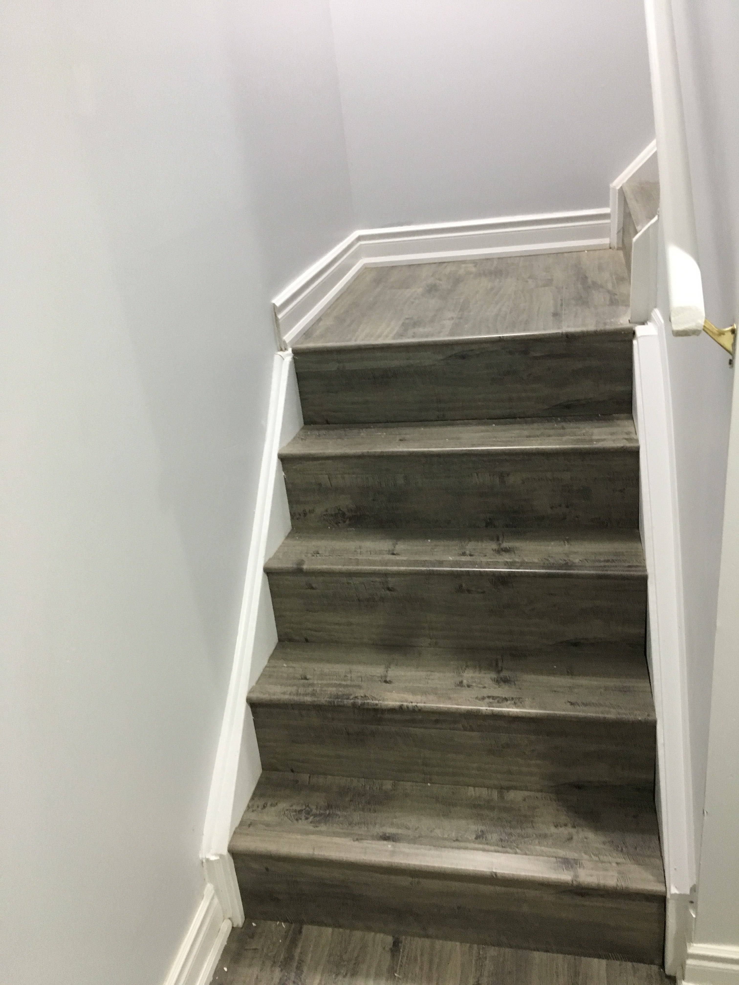 Basement Finishing