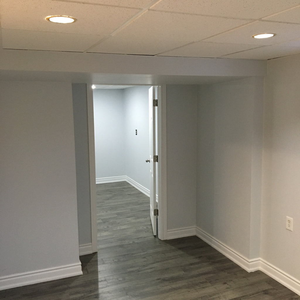 Basement Finishing
