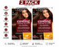 L'Oréal Paris Feria Tropical Teal Permanent Hair Color Dye 2 Pack - Lumi and Leo