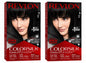 Revlon ColorSilk Hair Color 10 Black Pack of 2 - Lumi and Leo