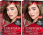 Revlon Colorsilk Beautiful Color Permanent Hair Color, Long-Lasting  2 Pack - Lumi and Leo
