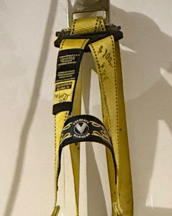 Used - DBI SALA DELTA SAFETY HARNESS