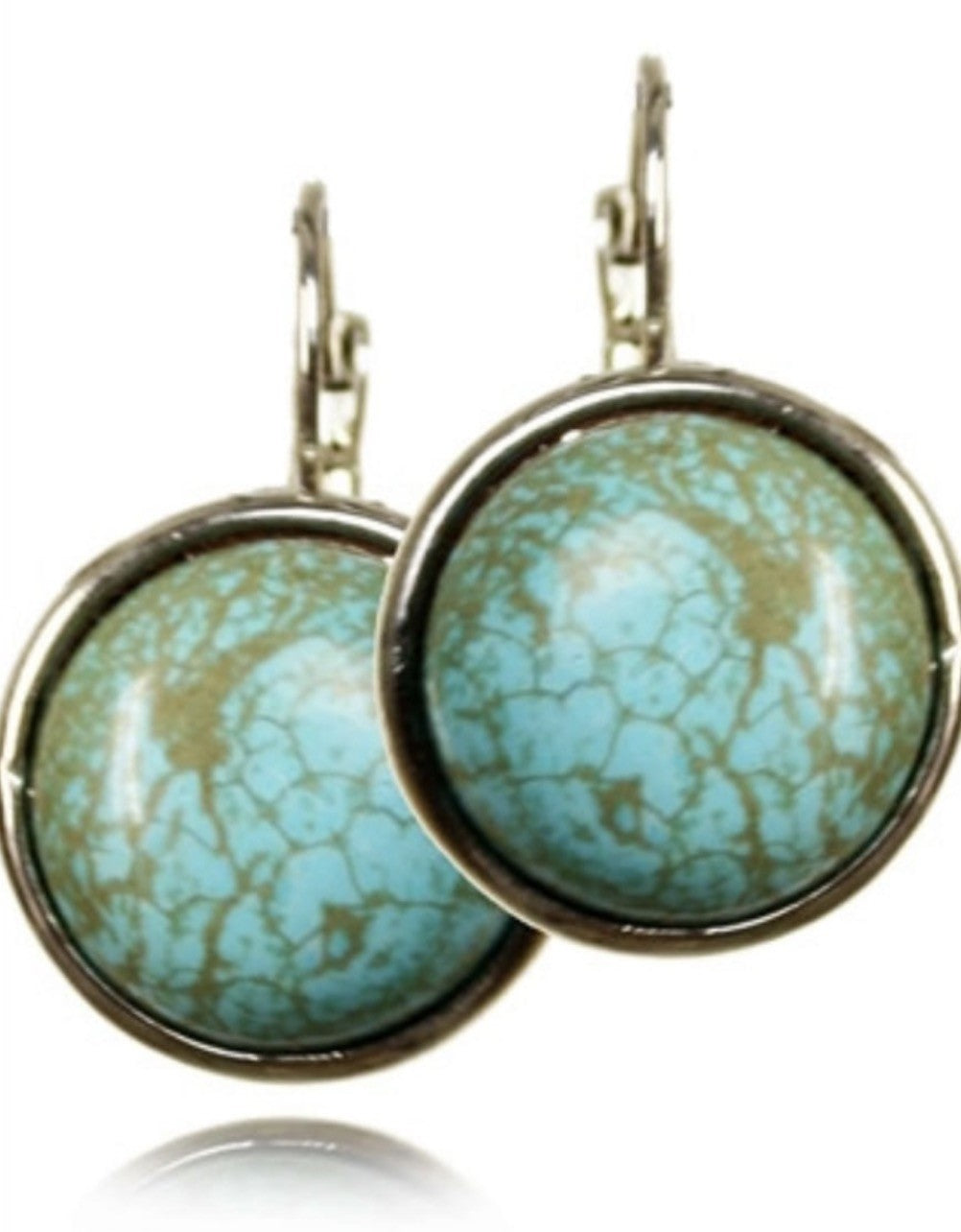 Women's Stainless Steel Dangle Earrings Hypoallergenic Lightweight Fashion Gift