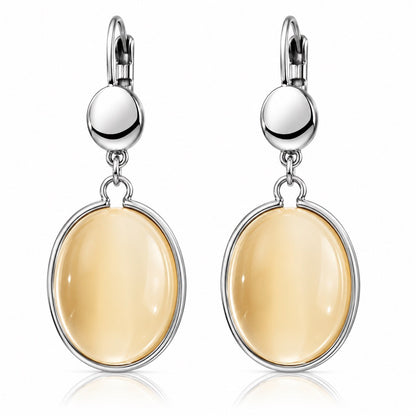 Women's Stainless Steel Dangle Earrings Hypoallergenic Lightweight Fashion Gift - Lumi and Leo